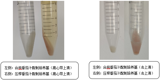 維生素檢測國標(biāo)法本底污染的原因分析