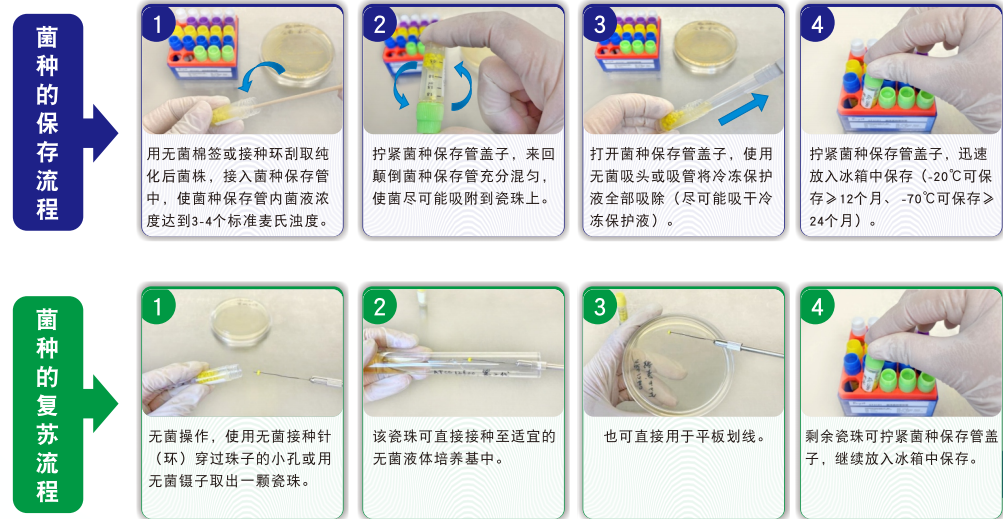 常見菌株保藏法的優(yōu)缺點對比 常見菌株保藏法的優(yōu)缺點對比